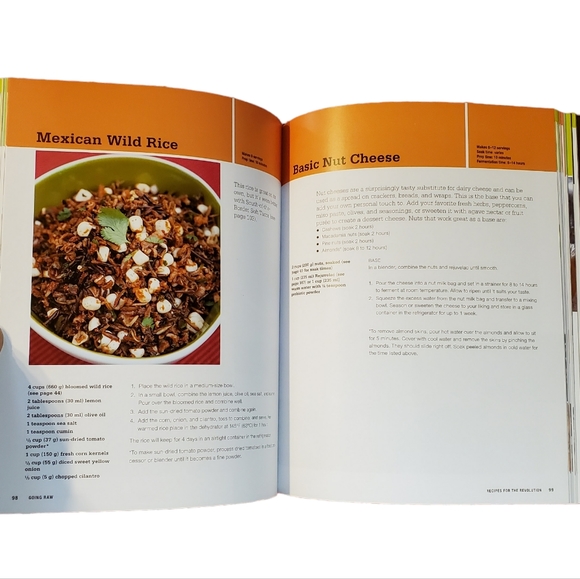 GOING RAW Cookbook by Judita Wignall - Picture 5 of 8